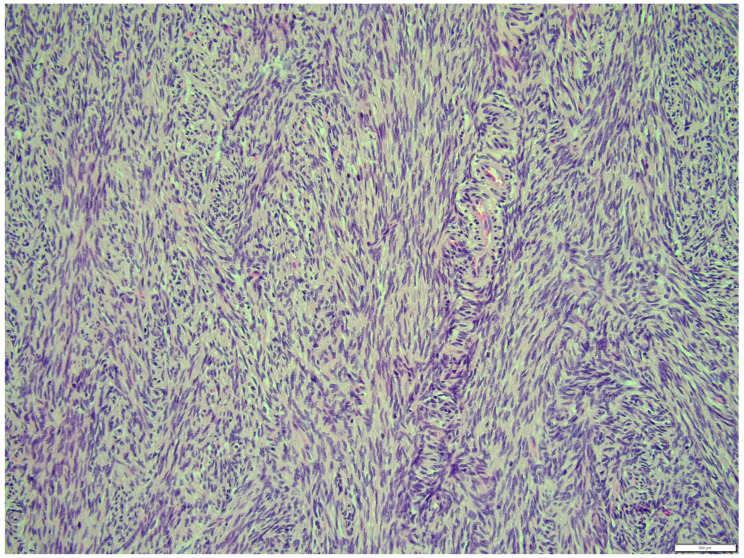 Figure 15