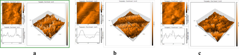Figure 12