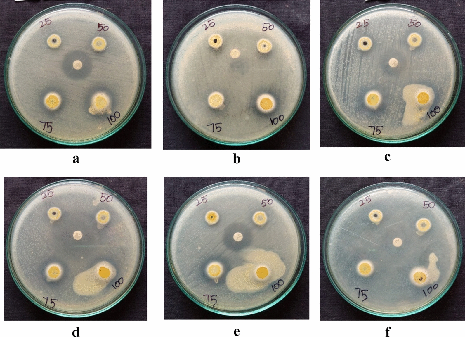 Figure 18