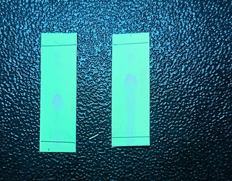 Figure 19