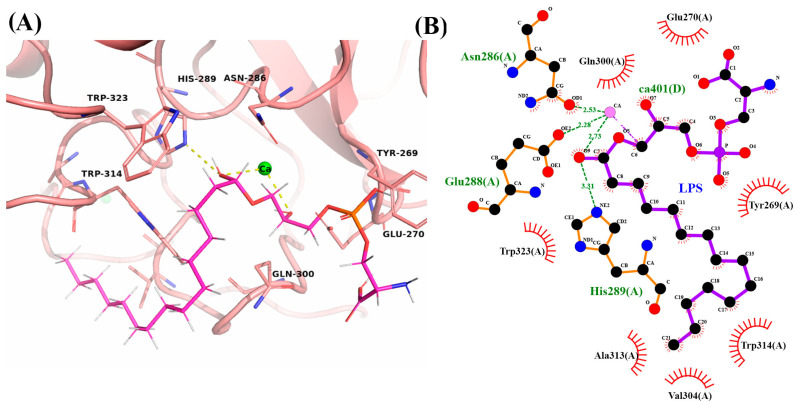 Figure 9
