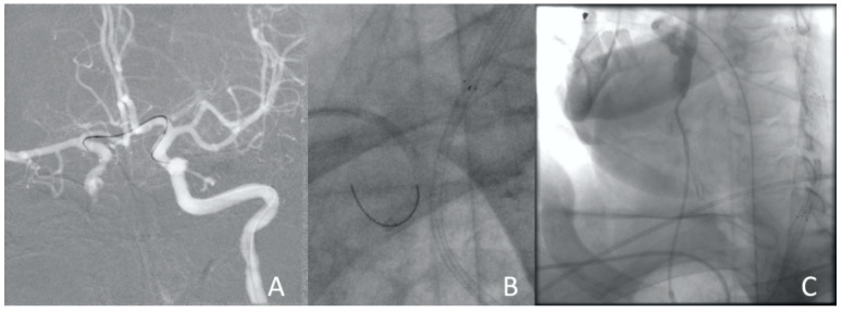 Figure 6