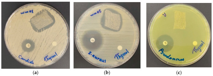 Figure 13
