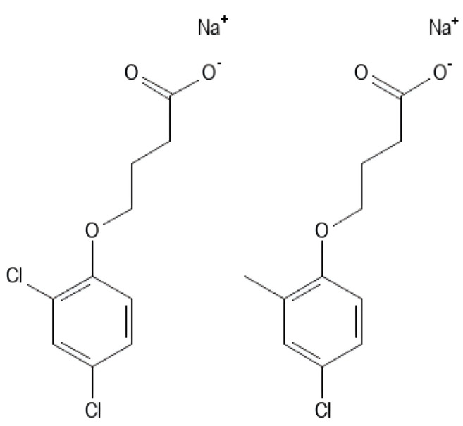 Figure 21