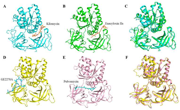 Figure 5