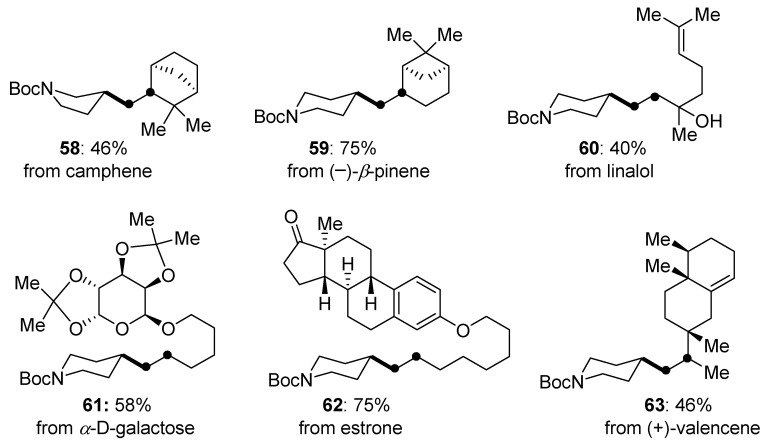 Figure 31