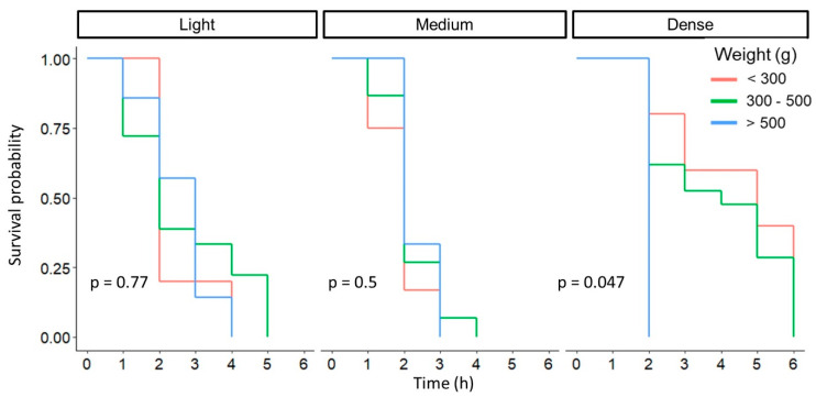 Figure 14
