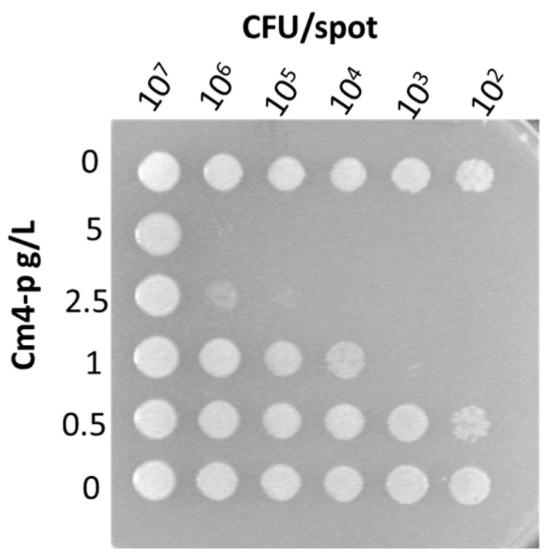 Figure 5