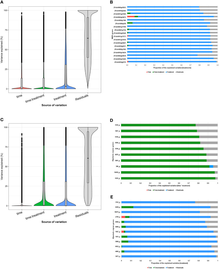 Figure 4