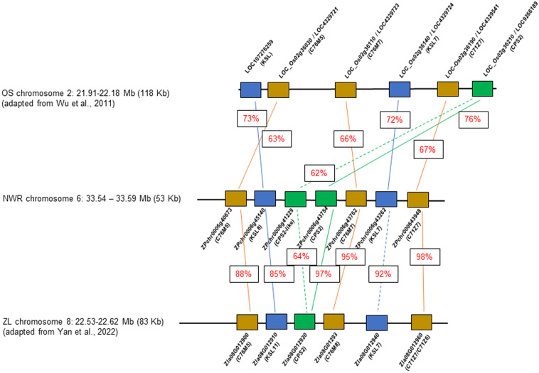 Figure 6