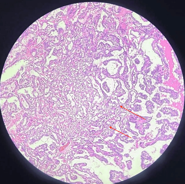 Figure 9