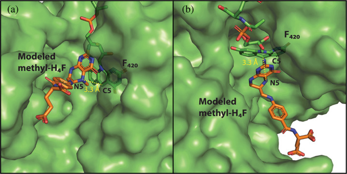 FIGURE 4