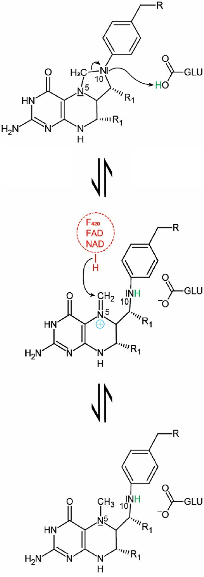 FIGURE 6