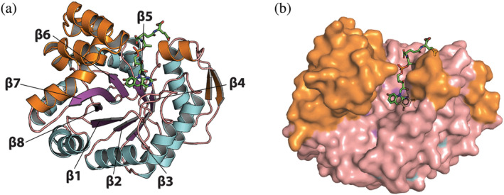 FIGURE 2