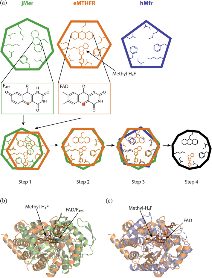 FIGURE 3