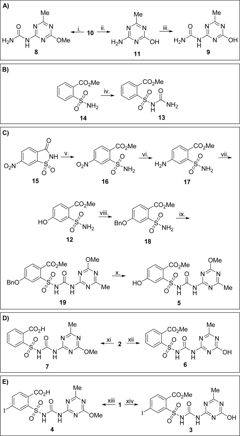 Scheme 1