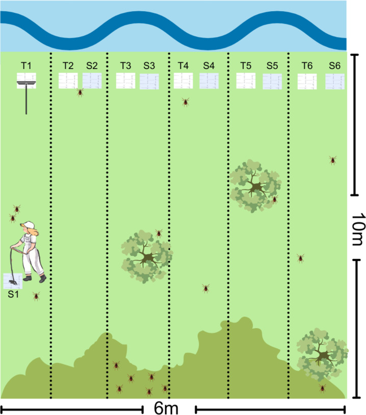 Fig 2