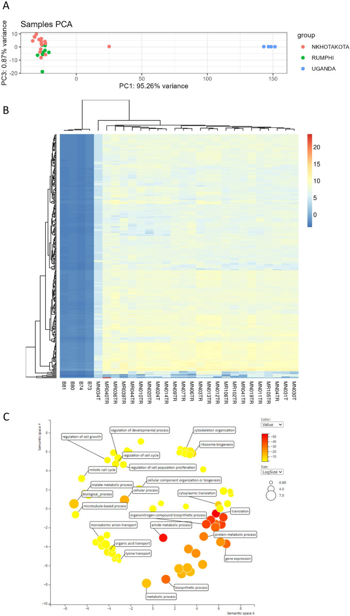 Fig 3