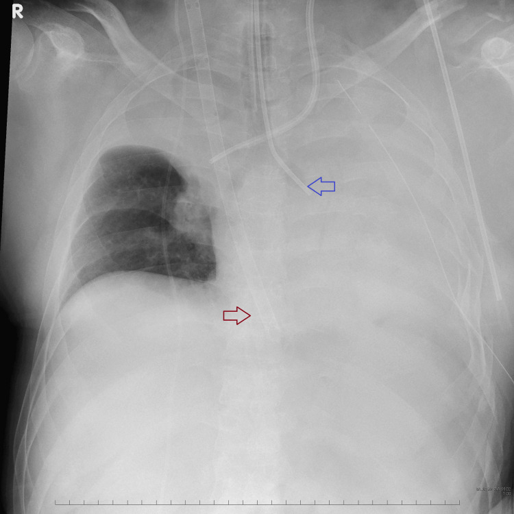 Figure 7