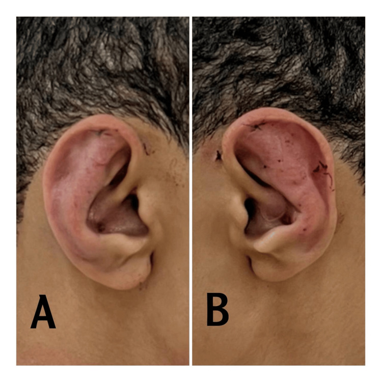 Figure 7