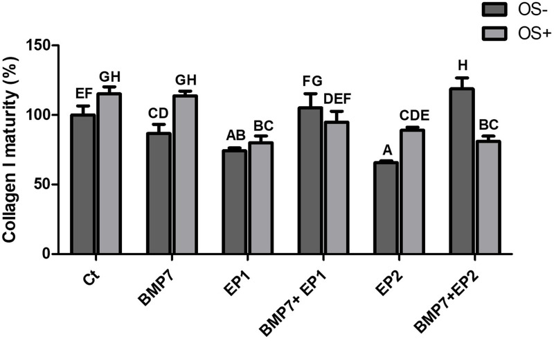 Fig 10
