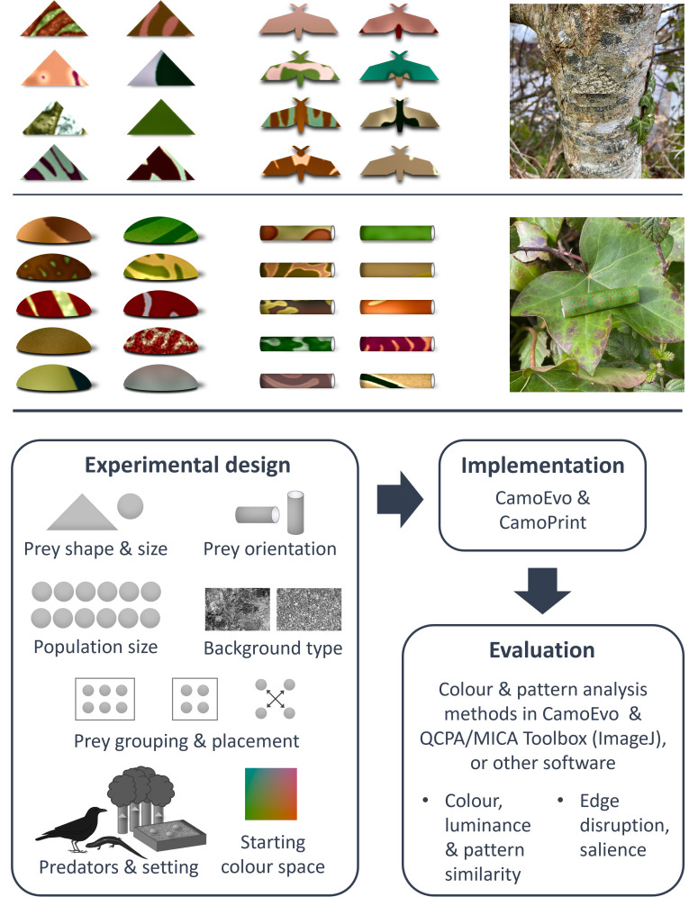 Fig 1
