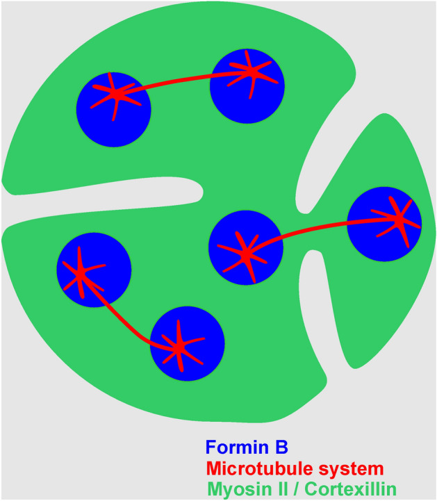 Figure 8