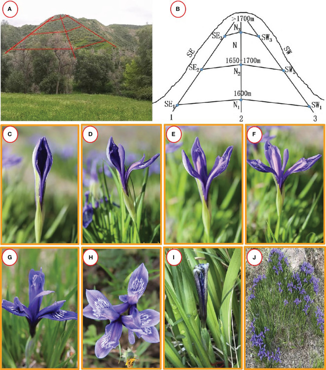 Figure 1