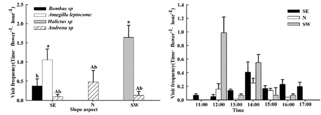 Figure 5
