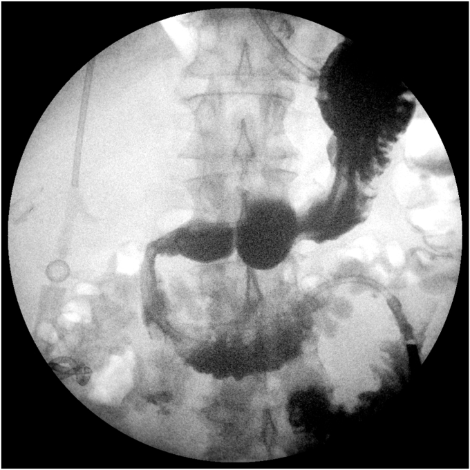 Figure 6