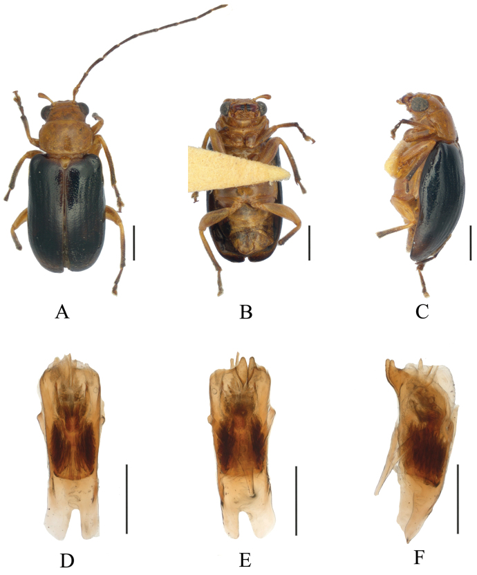 Figure 7