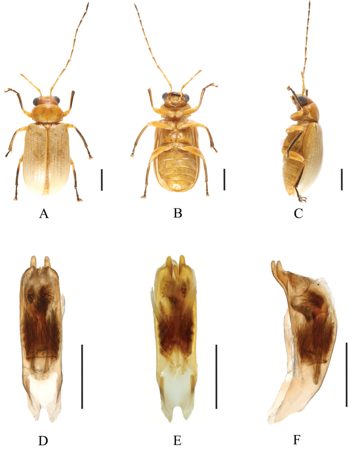 Figure 9