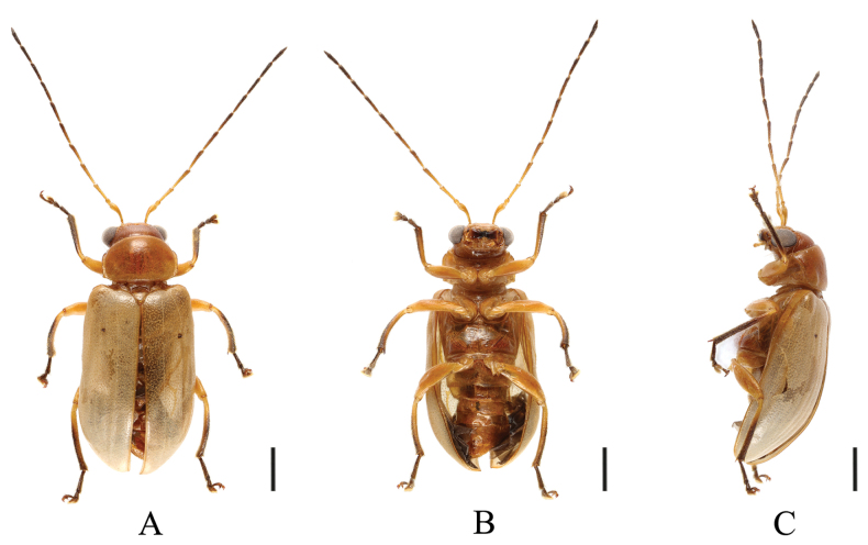 Figure 10