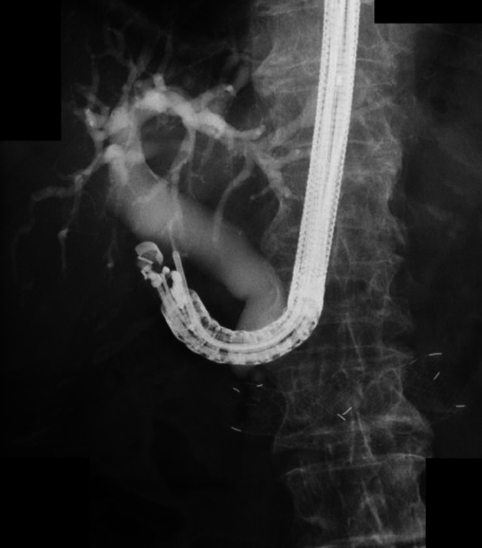 Fig. 5