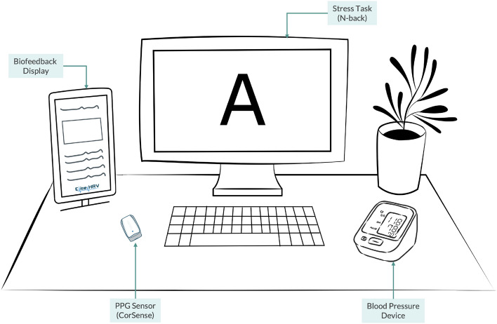 Figure 2