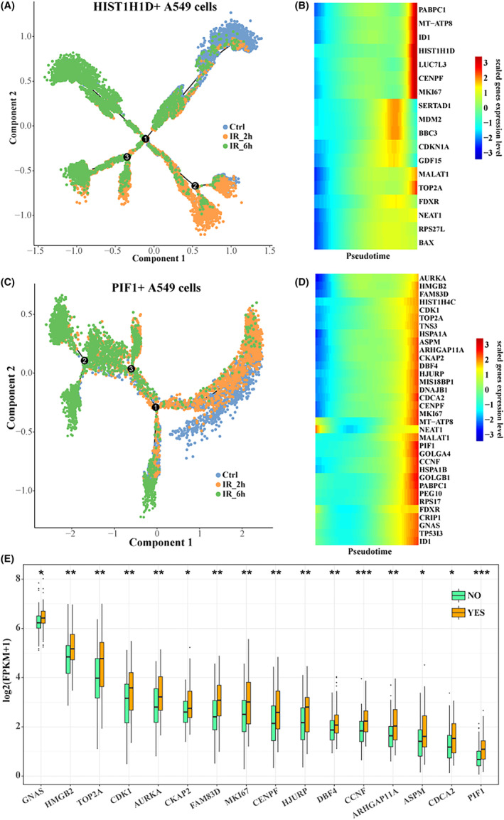 FIGURE 3