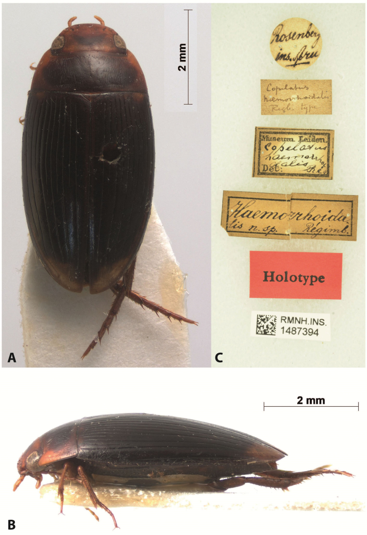 Figure 58
