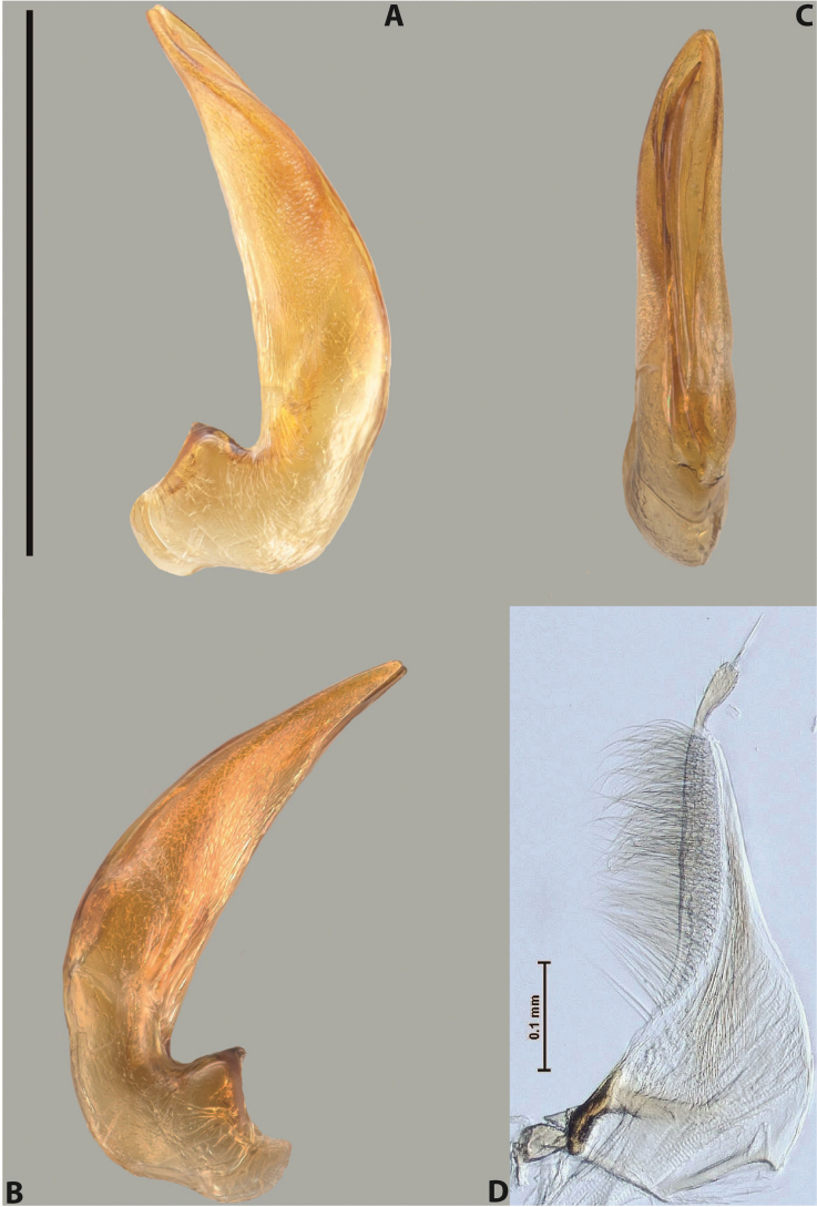 Figure 60