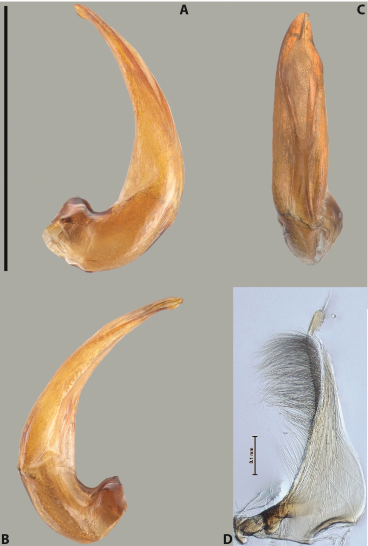 Figure 61