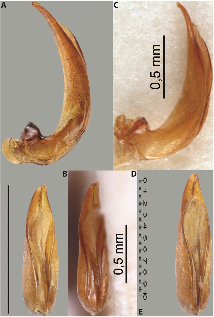 Figure 62