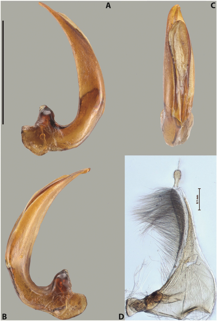 Figure 63
