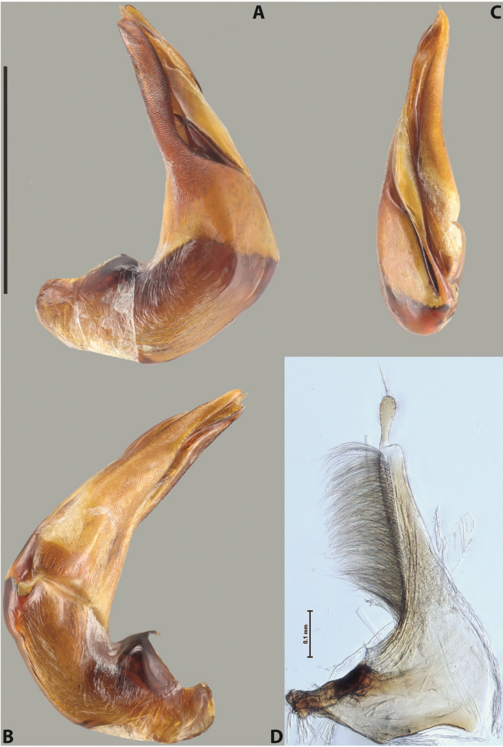 Figure 64