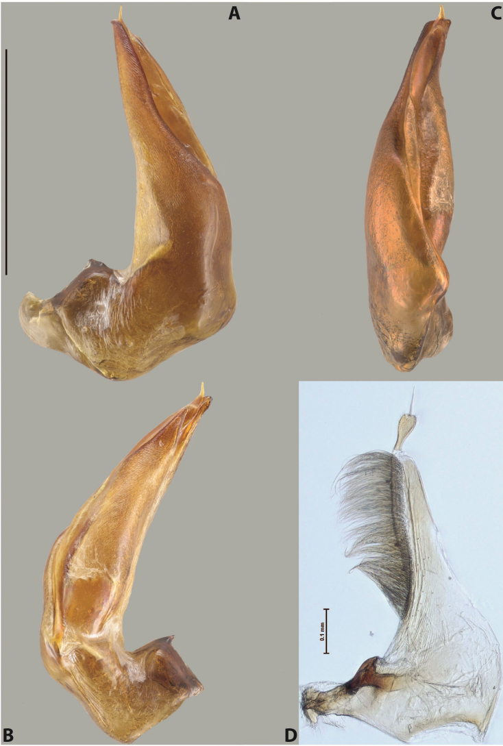 Figure 65