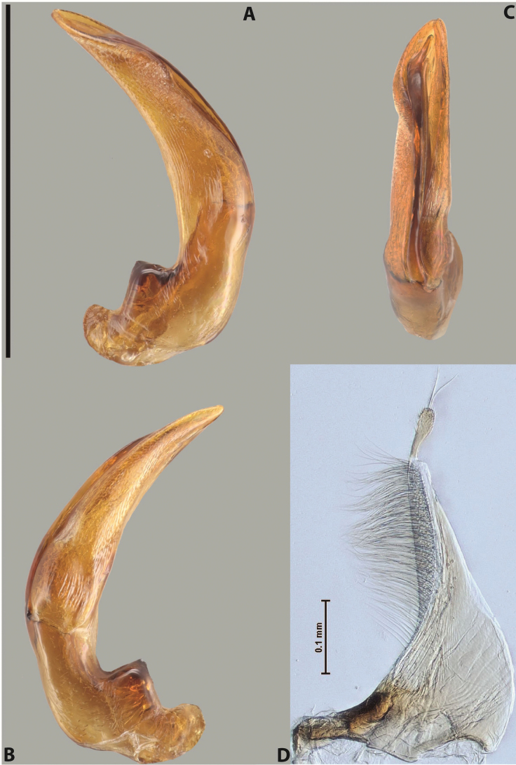Figure 66