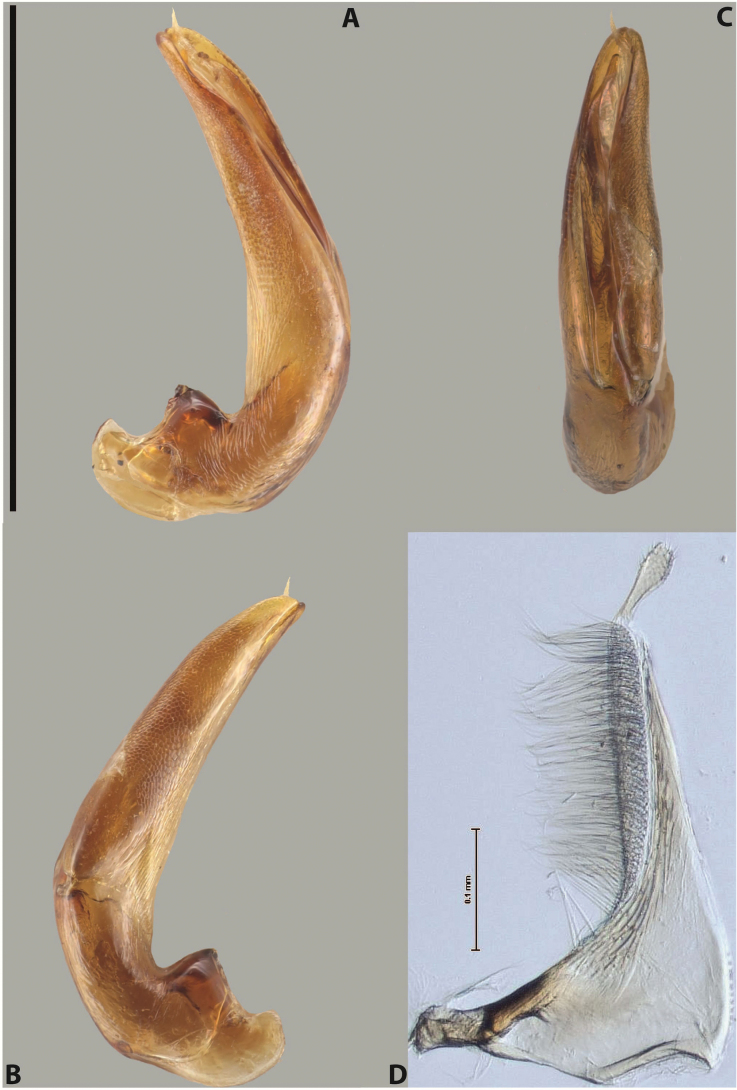 Figure 67