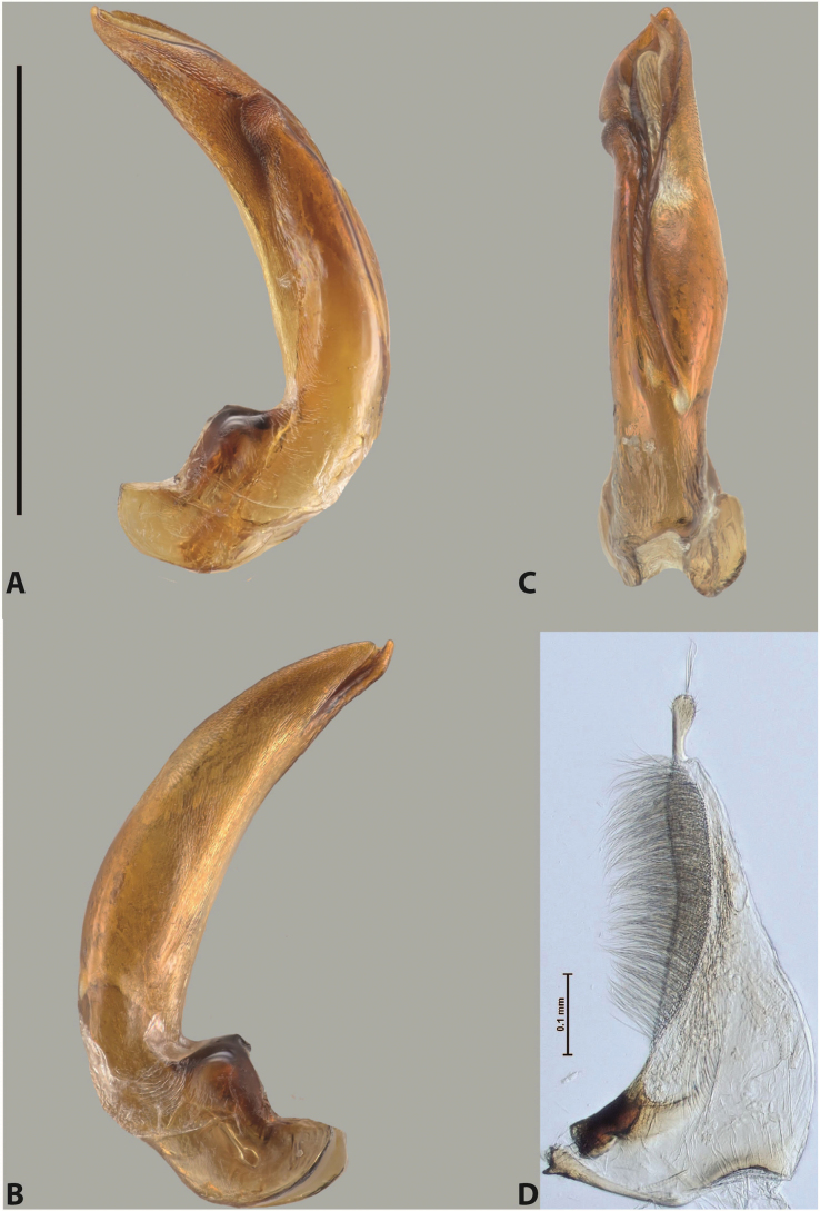 Figure 68