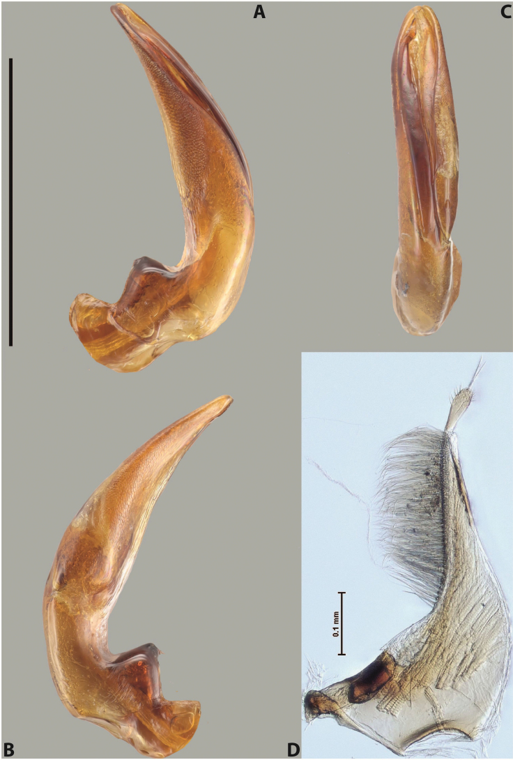 Figure 70