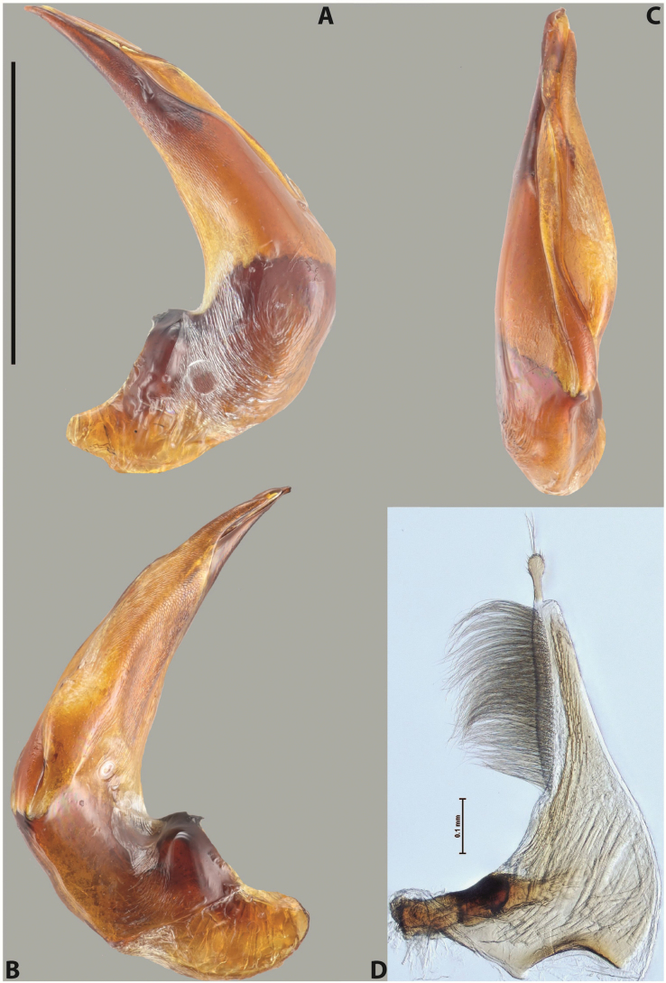 Figure 71