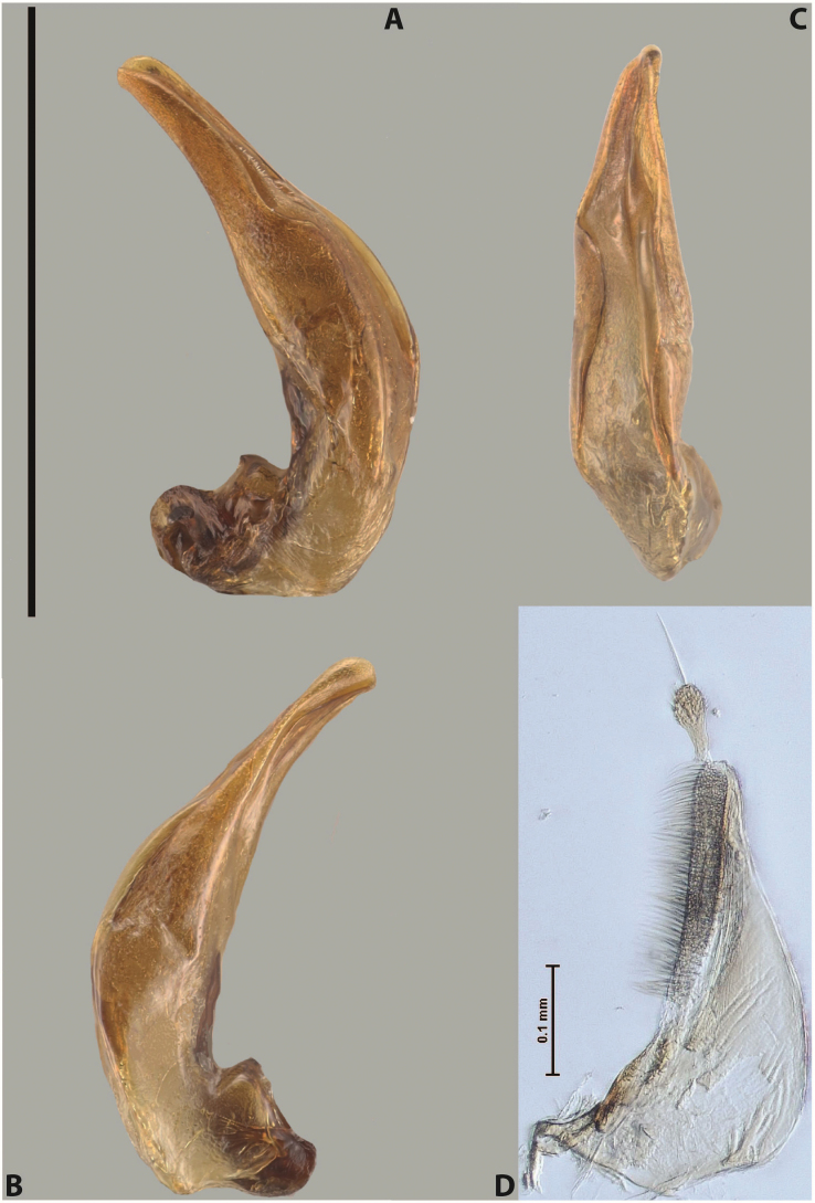 Figure 74