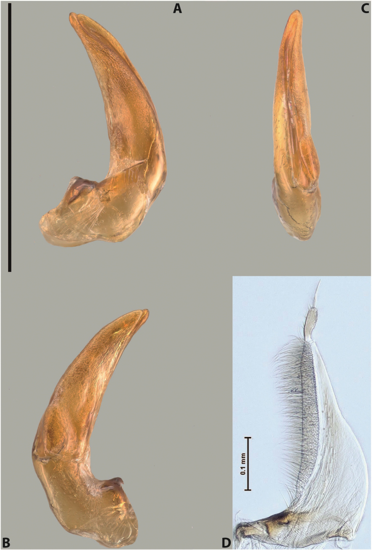 Figure 75
